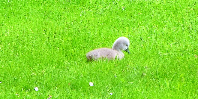 " ALLES IM GRÜNEN BEREICH "