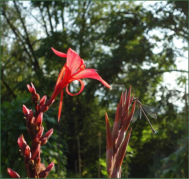Abendsonnenplätzchen