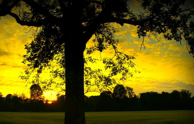 " EIN ABEND IM TAL "