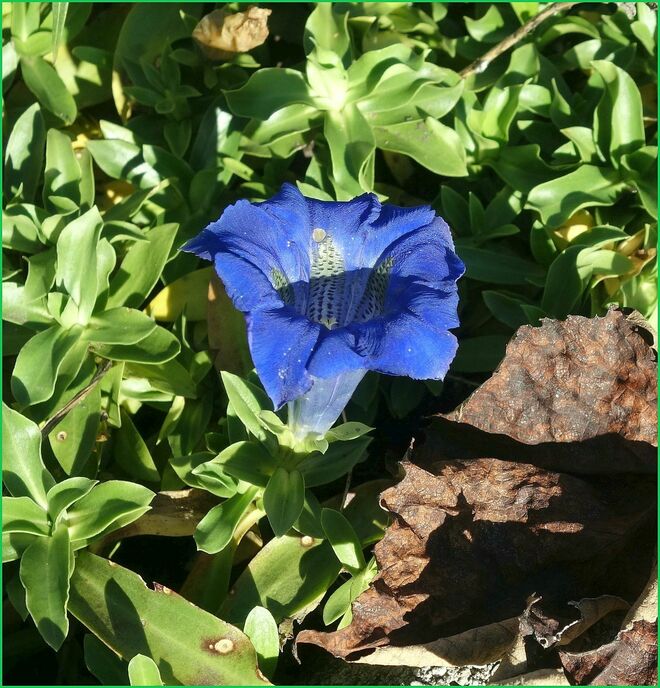 . . . ein extra Abschiedsgruß . . . 