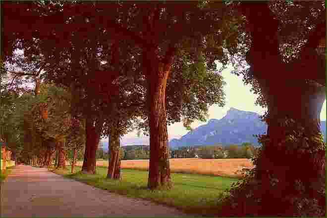 In der Hellbrunner Allee