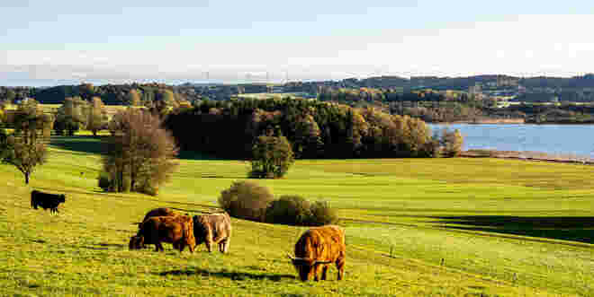 Am Grabensee