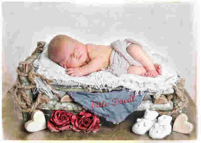 Andrea Maria Christiane Friedl
