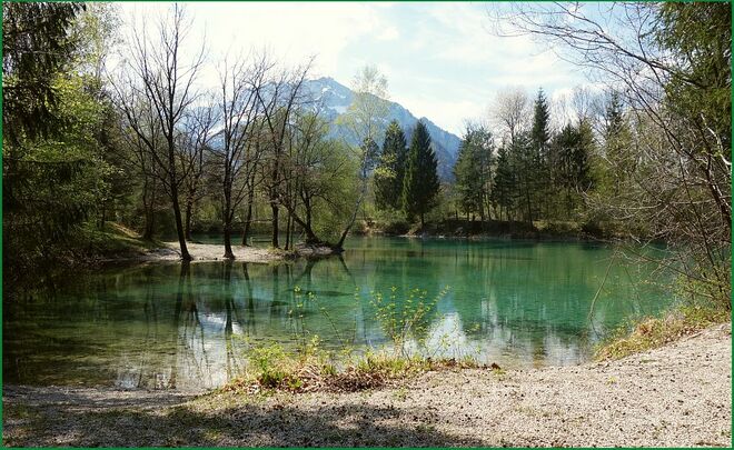 . . . Grundwasserfarben nahe der Salzach