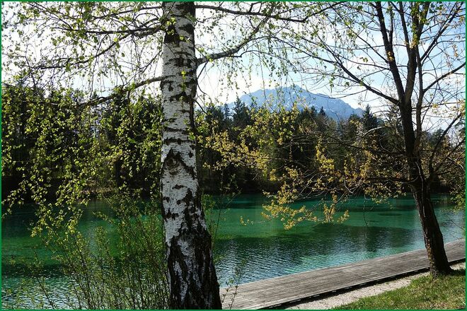 Vogelstimmen -  und noch Stille -