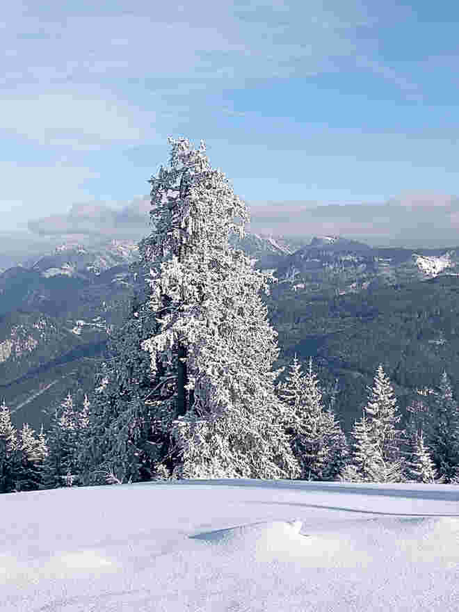 Frozen.....Winter am Berg