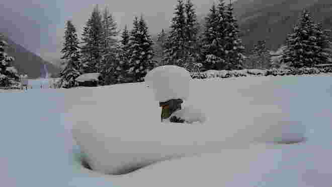 Wer schaut denn da aus dem Schnee?