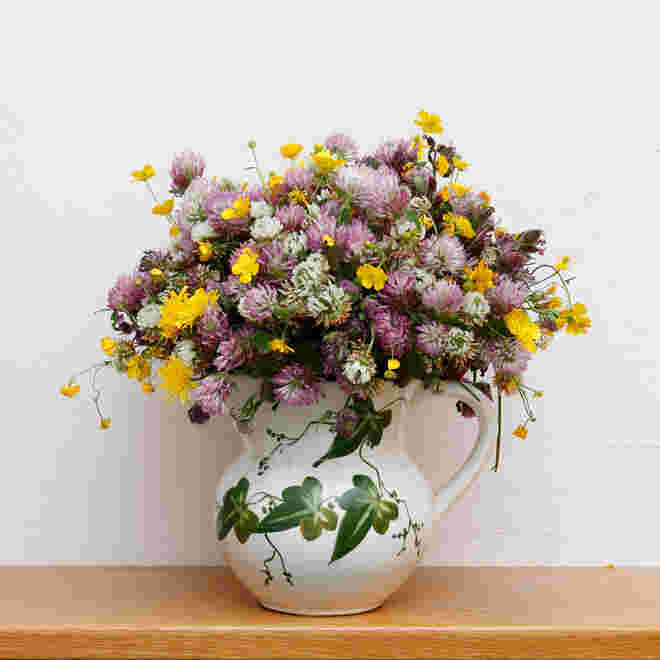 Wiesenblumen