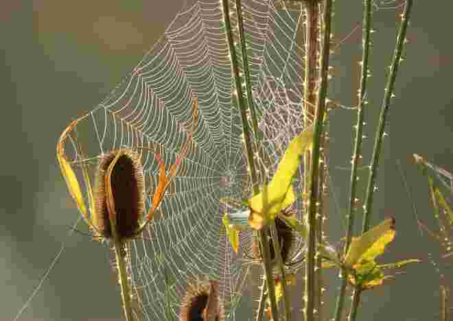 Herbst???