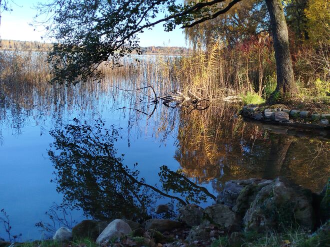 Herbst am Grabensee