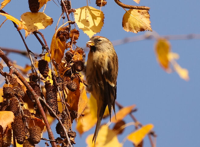 Wärme und Futter genießen