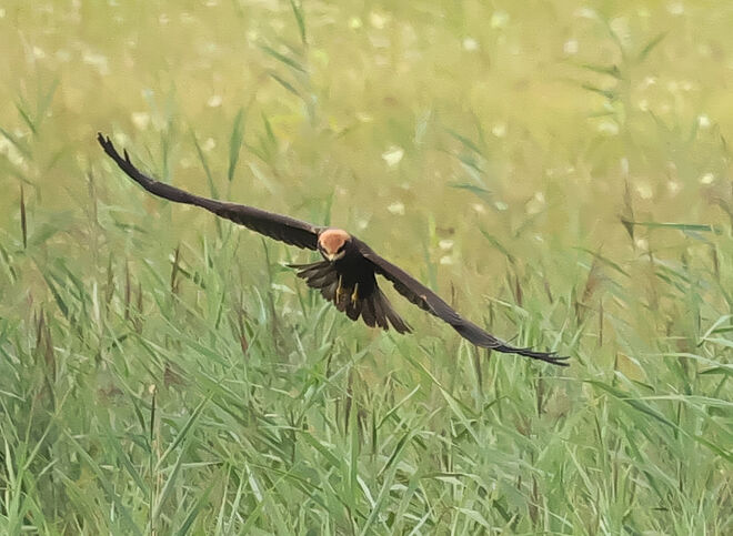 Schon flott unterwegs