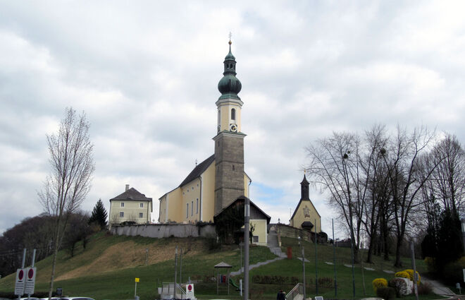 jeden Tag auf's Neue ein Blickfang 