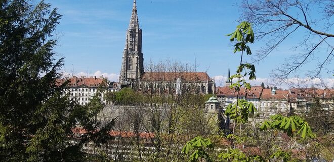 Berner Münster