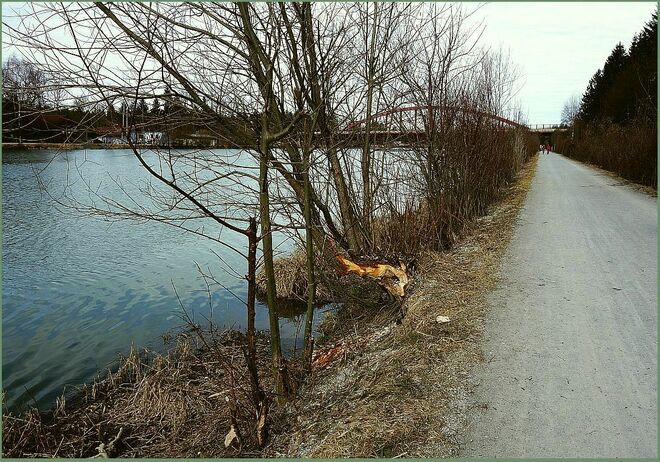 In aller Ruhe sehr in der Früh . . . 