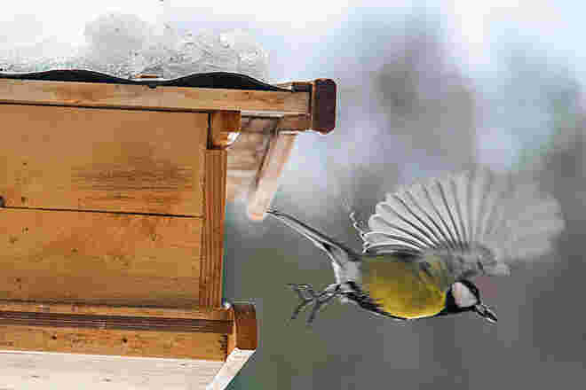 schneller Abflug