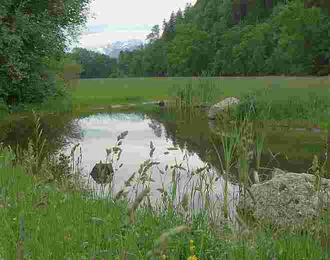 Biotop  im Park in Hellbrunn