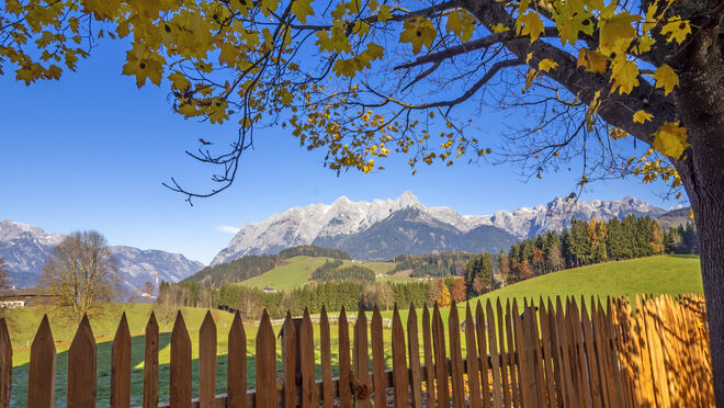 Goldener Herbst am Buchberg