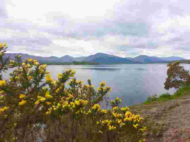 Loch Lomond
