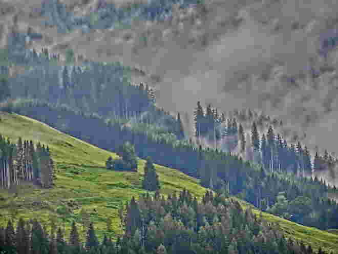 Nebelschwaden am Berg