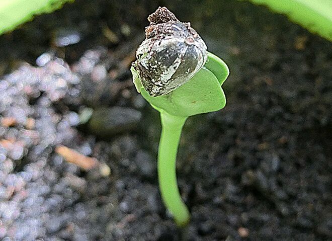 Hab noch einiges vor...