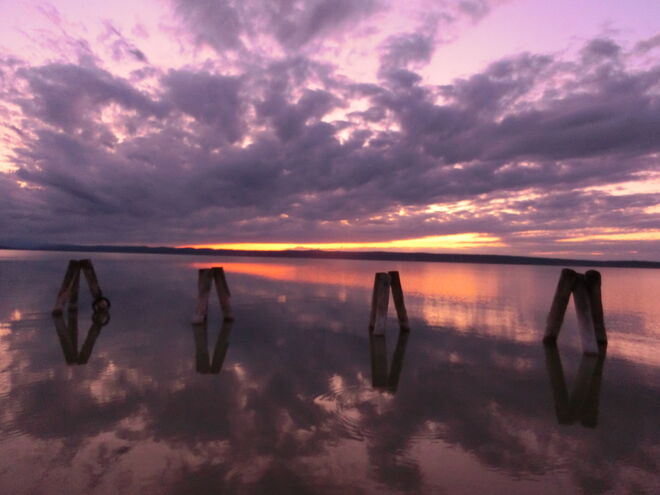 Spiegelung Neusiedlersee