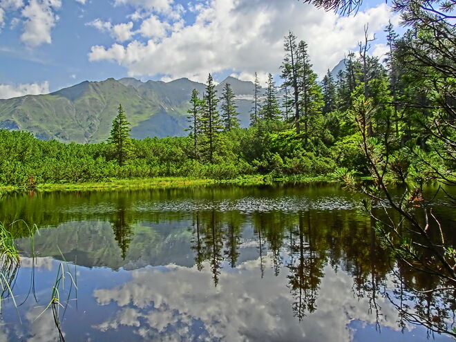 Wiegenwald/Enzingerboden/Weissee/Uttendorf/Pinzgau/EU