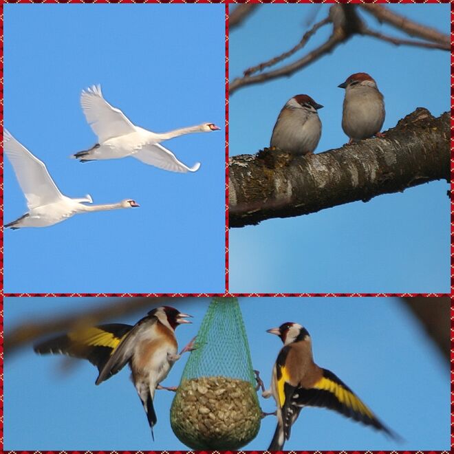 Eintracht - Zwietracht - Idylle