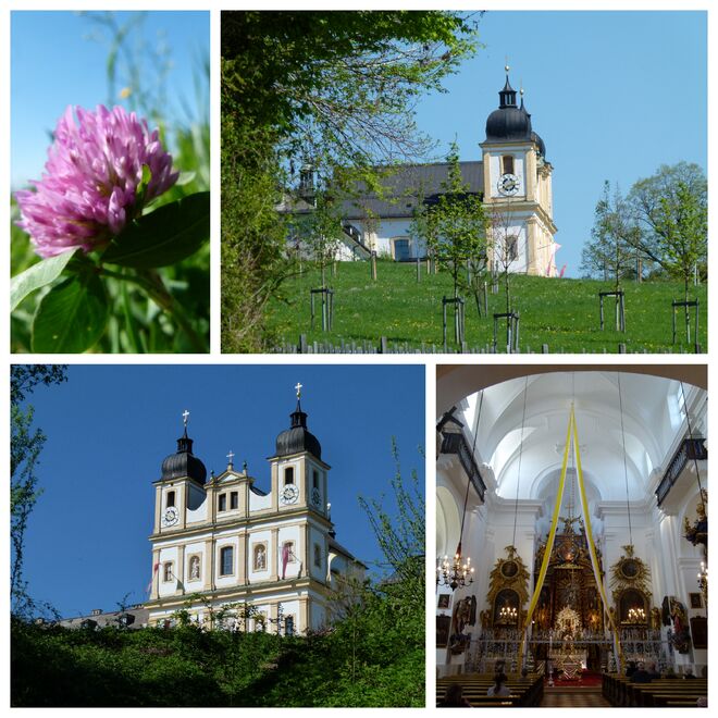 Frühling in Maria Plain