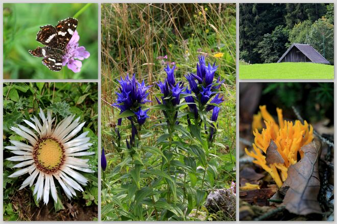 Spätsommerliche Wanderung