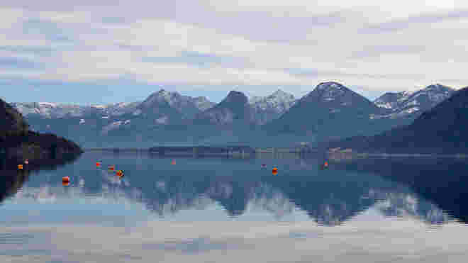 Blick über den Wolfgangsee 