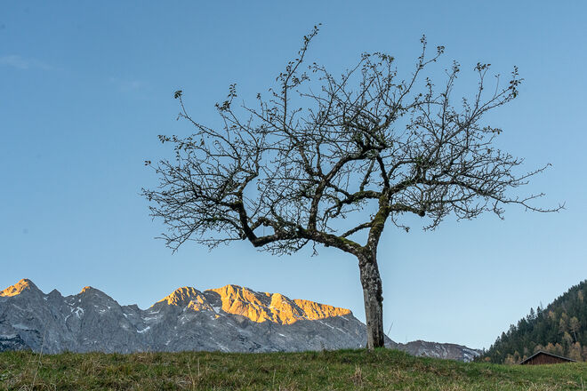 Sonnenaufgang in Gasteig