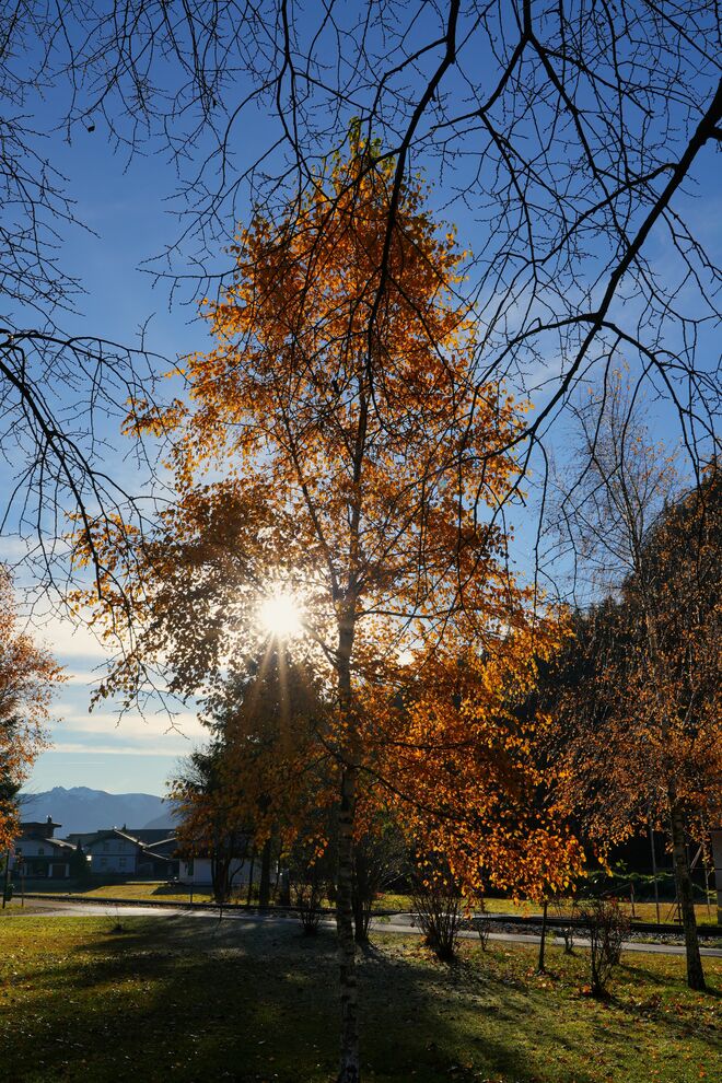 Das herbstliche Leuchten geht langsam zu Ende