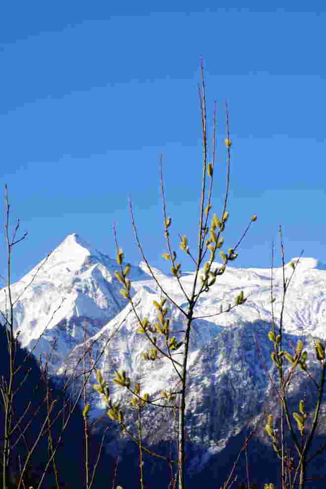 Winterabschied - Frühlingsbeginn