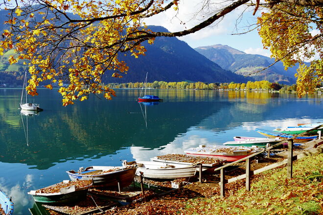 Goldene Herststimmung am Zeller See