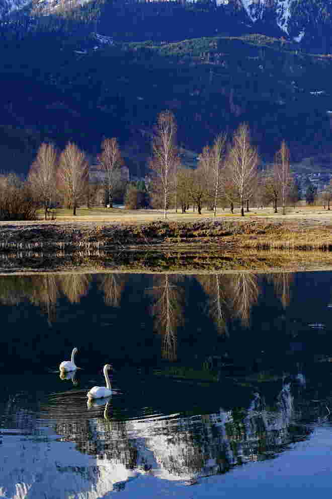 An einem kleinen Schwanensee