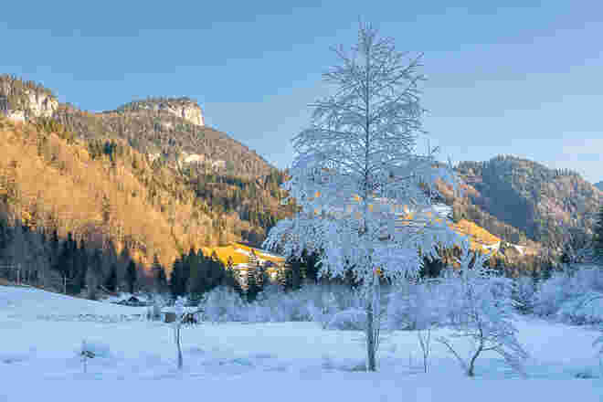 Sonn- und Schattenseite