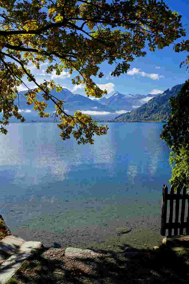 Zeller See mit "Kitzblick"