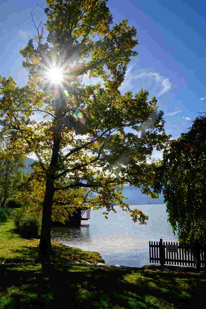 Stimmungsvoll am Zeller See