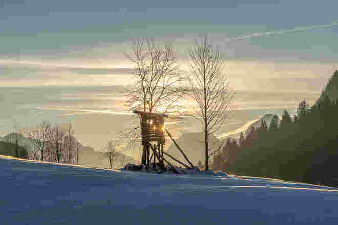 Hochsitz