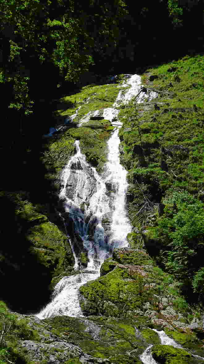 winnerfall
