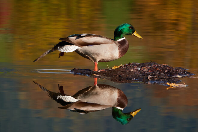 Spieglein, Spieglein..