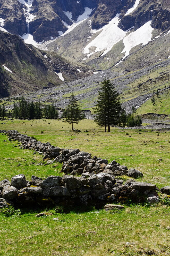Ein alter Steinhag - im Hintergrund die Auswirkungen von den Unwettern im vorigen Jahr
