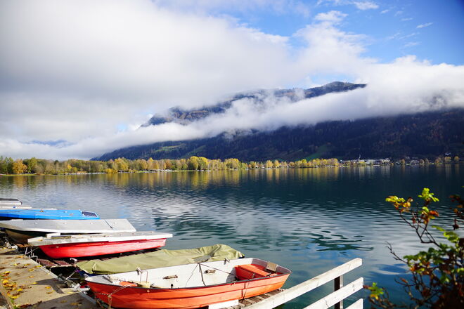 Blick auf das herbstliche Nordufer vom Zeller See