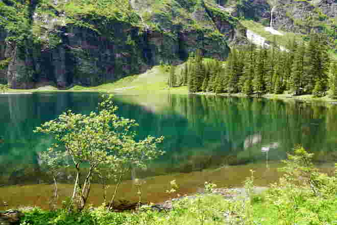 Wunderbares Farbenspiel in Grüntönen