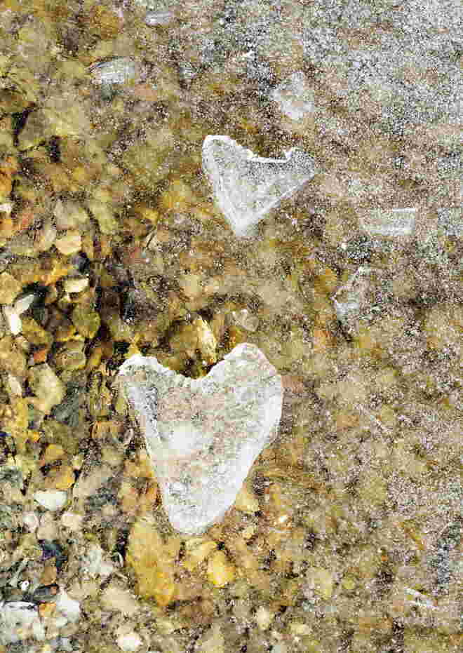 Zufällig heute am Valentinstag entdeckt: ein Herz aus Eis am Zeller See