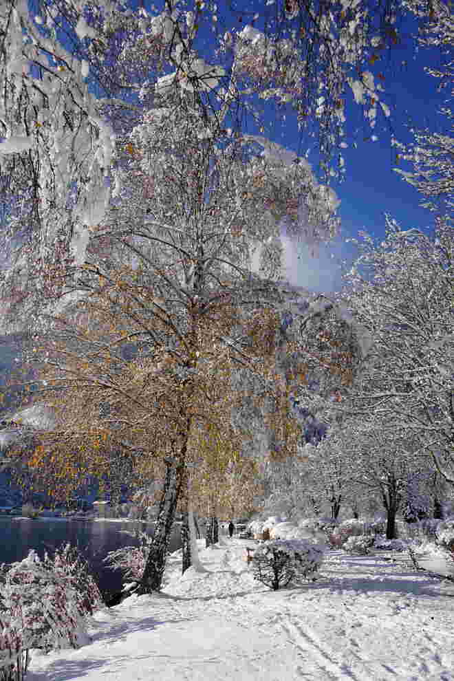 Ein Wintertraum am 1. Adventsonntag
