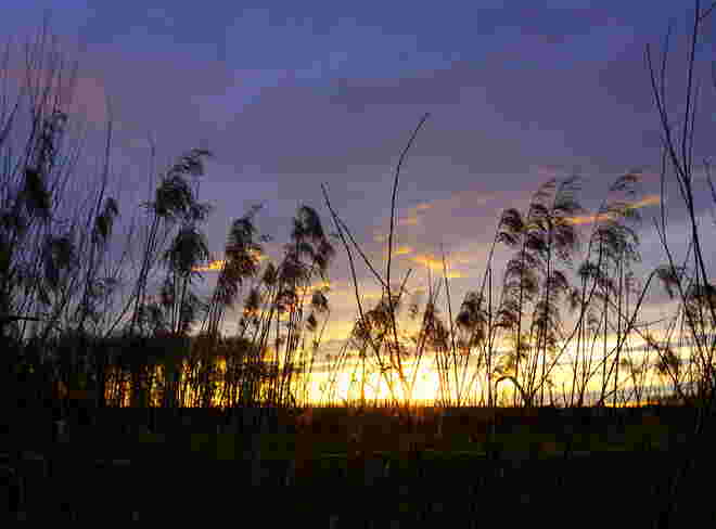 abends..