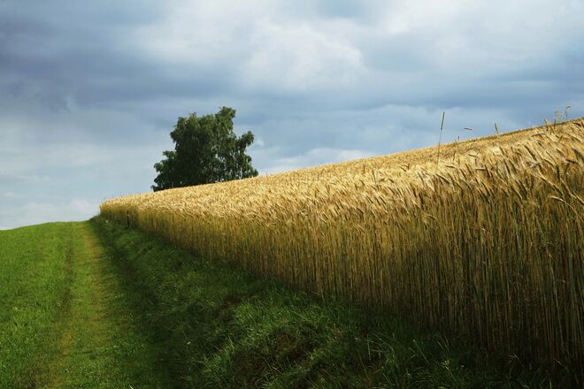 Wandern im Mühlviertel