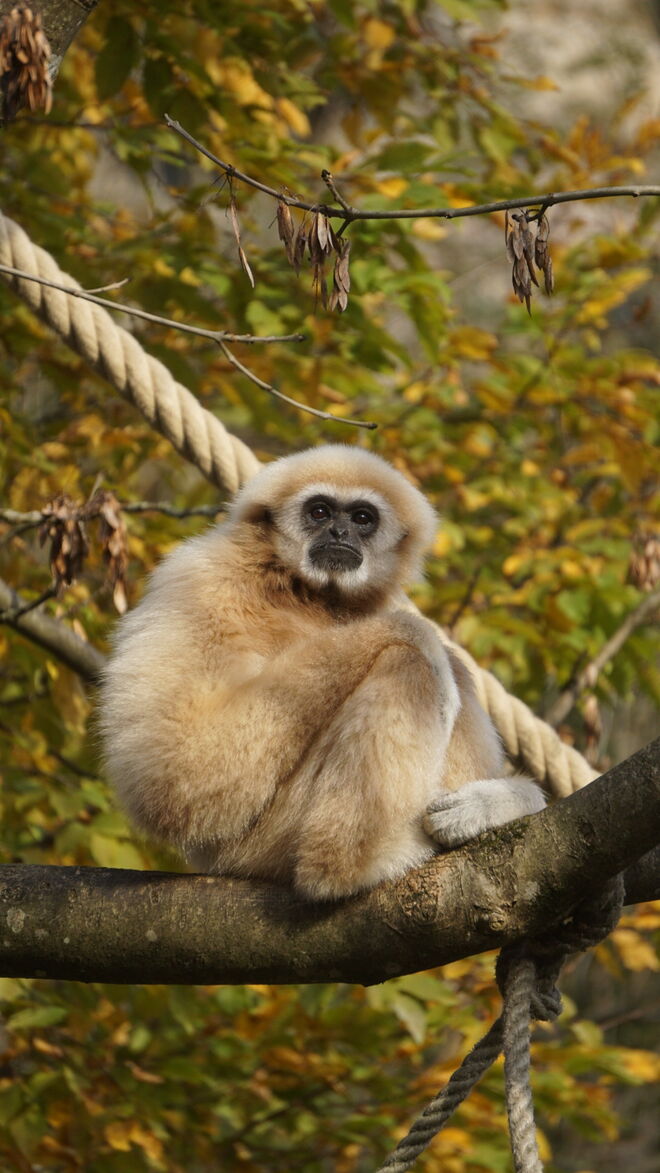 Was? Schon wieder ein Foto!! 